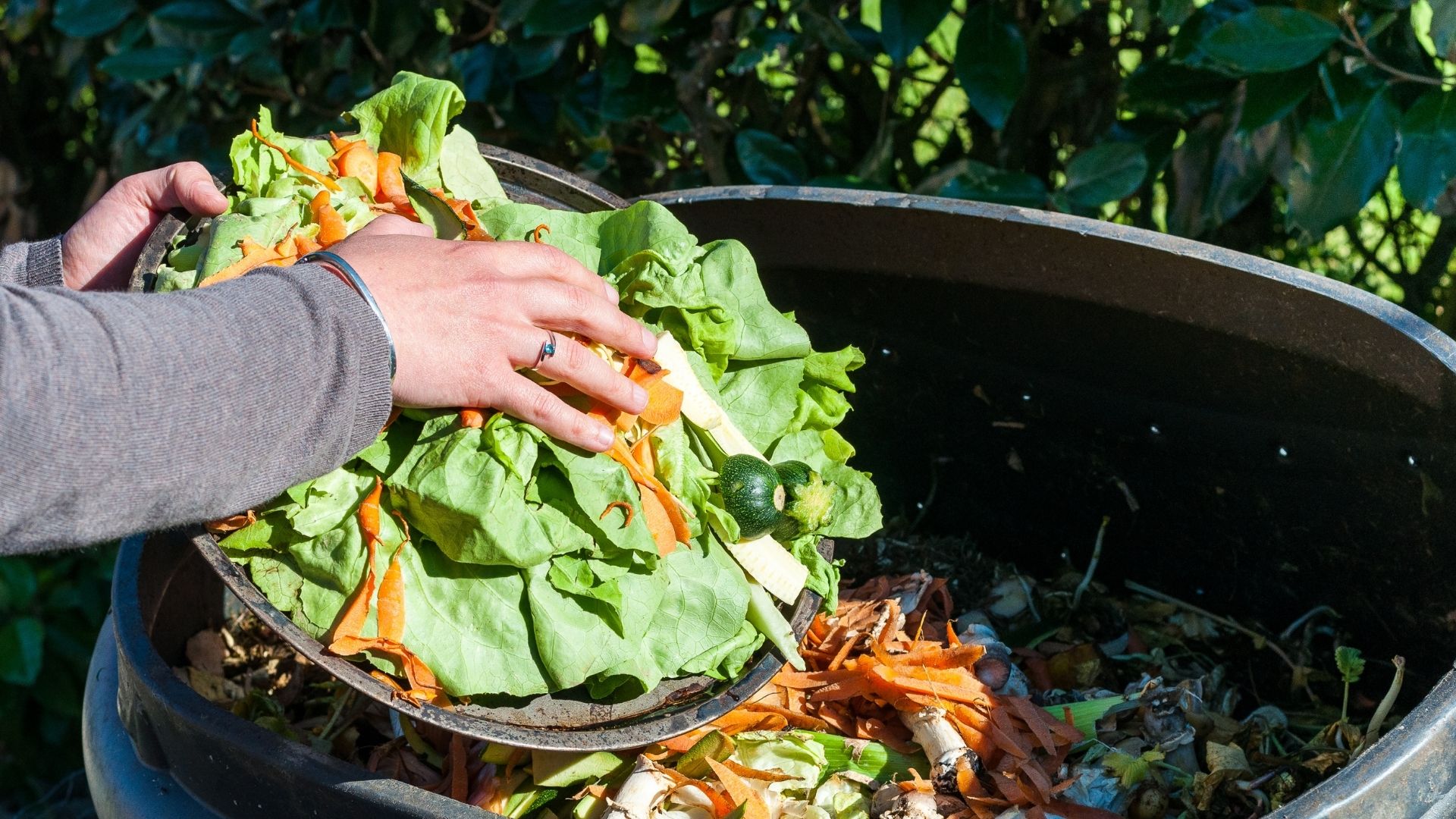 compost low waste business