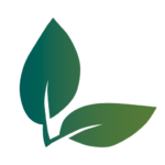 How to manage food waste at home - Brisbane Sustainability Agency