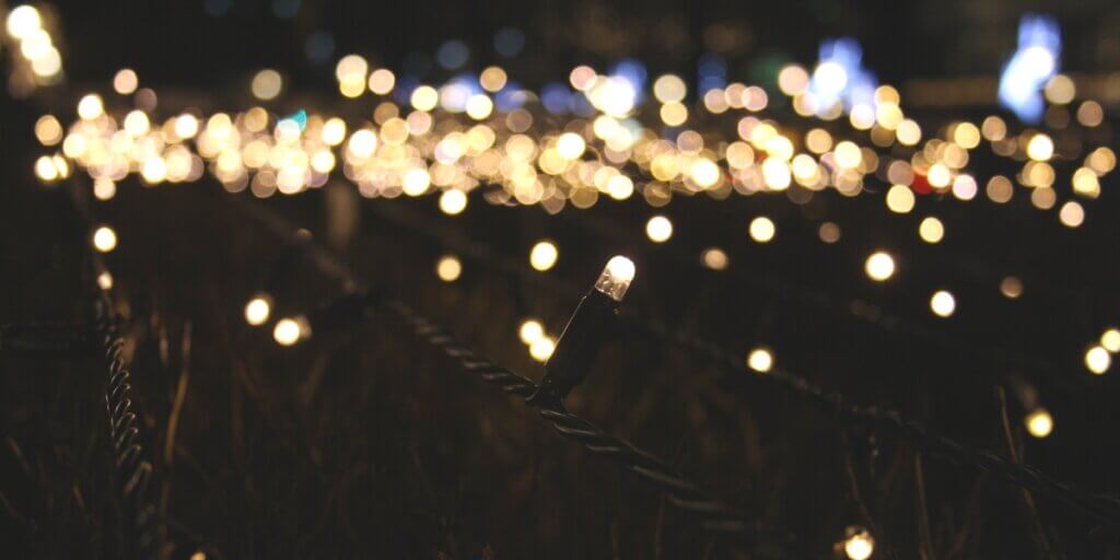 Fairy lights on fence