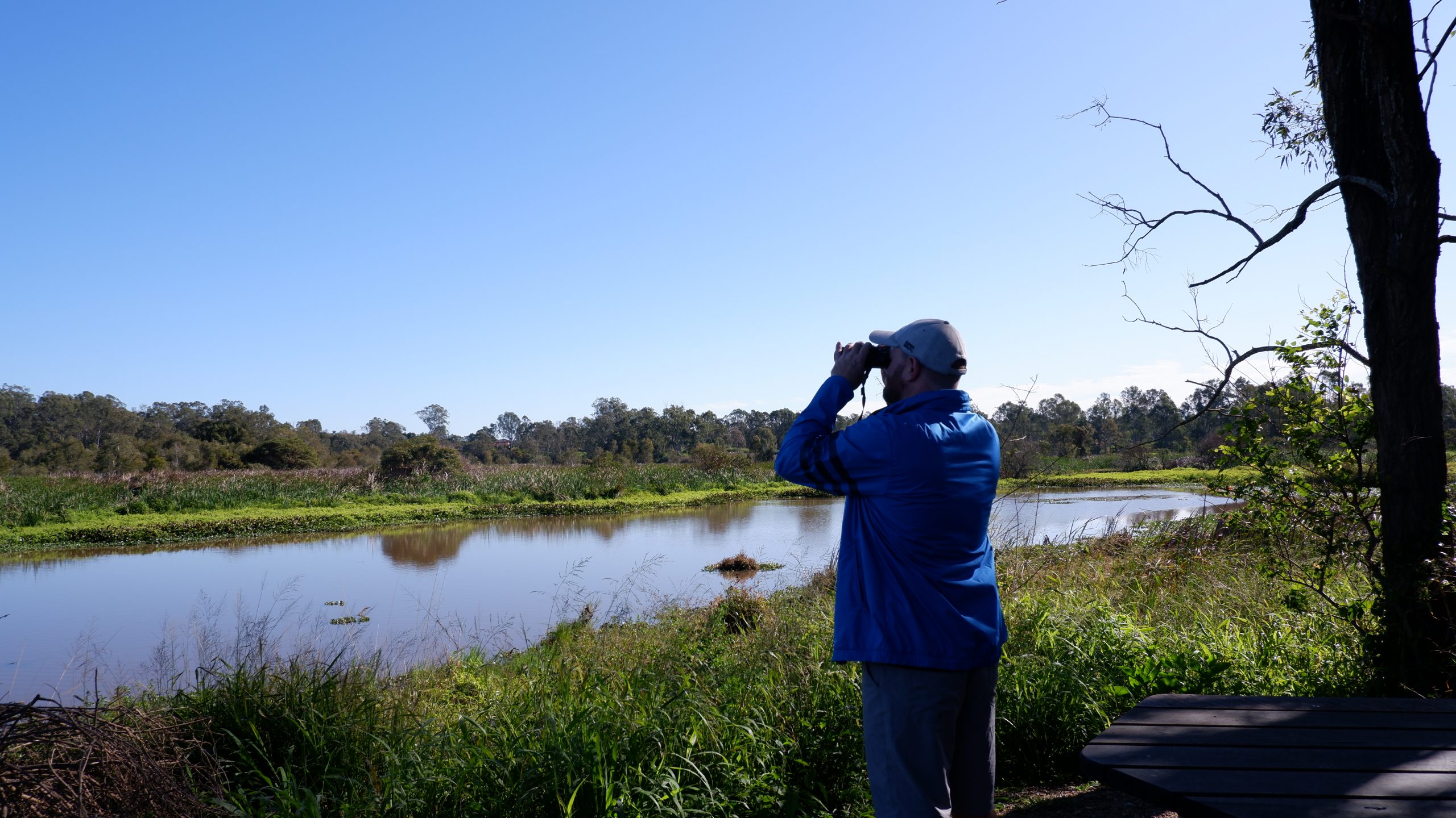 Man birdwatching over Archerfield Wetlands lake.