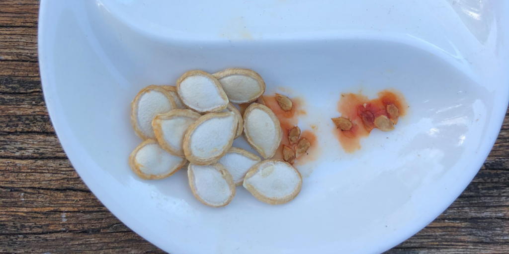 A plate with seeds drying out