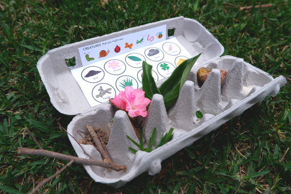 An egg carton full of elements found in nature