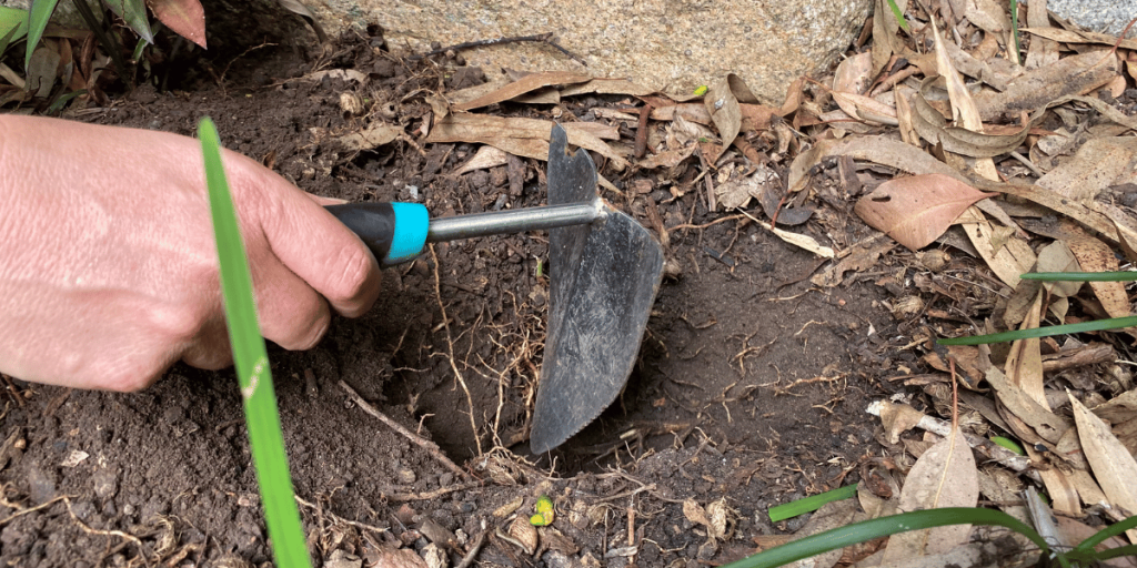 A person digging a hole in the backyard with a shovel