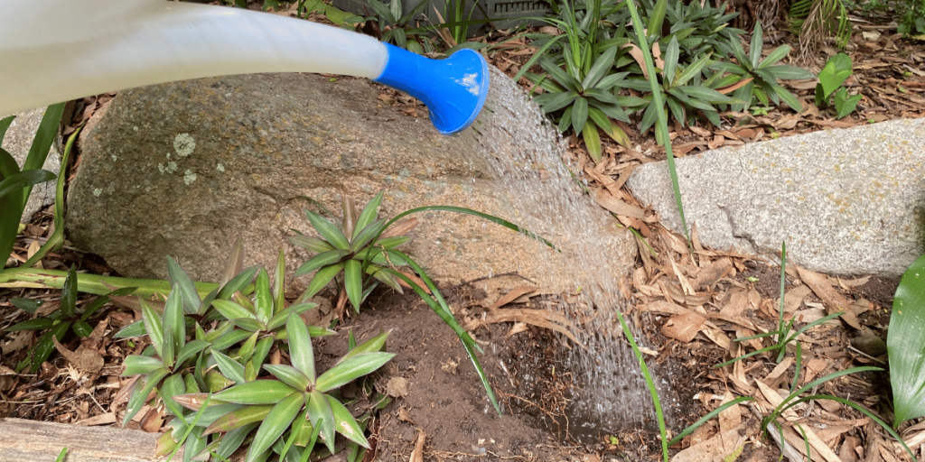 A watering can filling up the hole with water