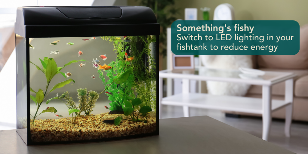 fish tank