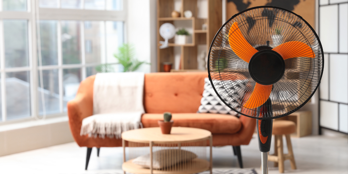 Couch and fan