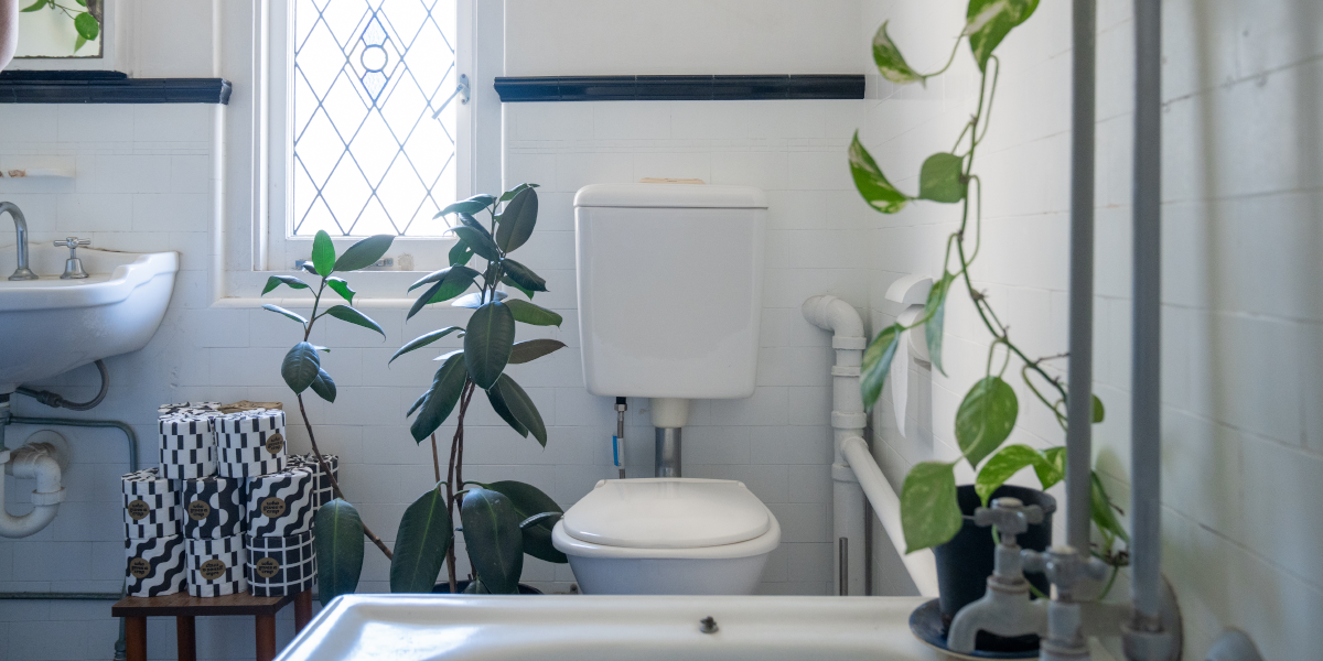 Toilet in a bathroom