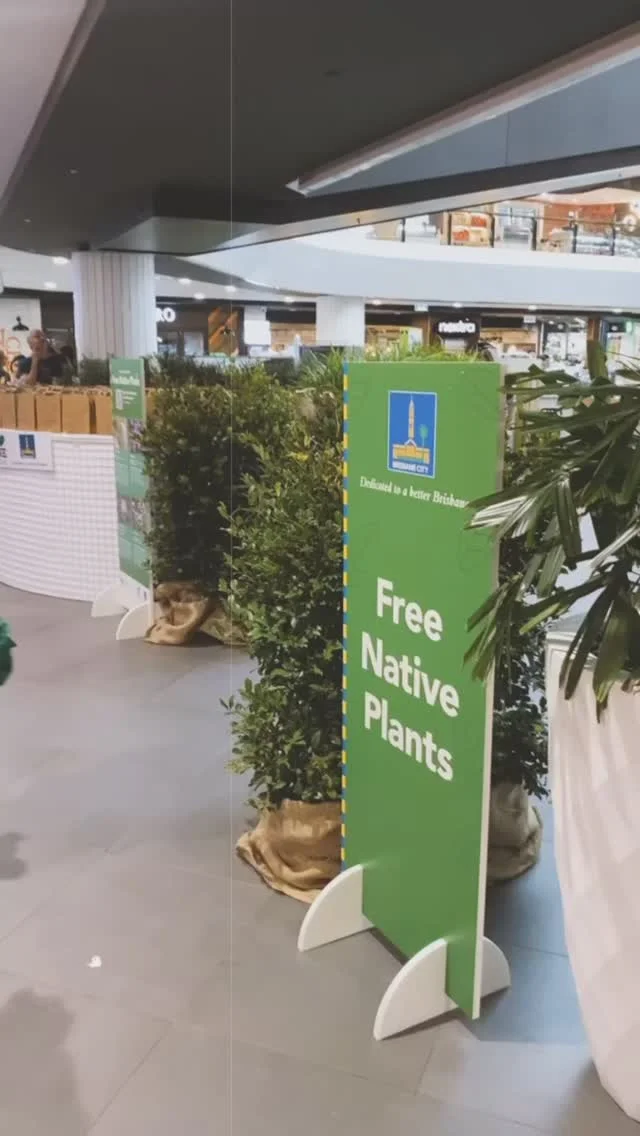 Looking for something to do this Saturday? Come and say hi 👋🏻and grab a free native plant thanks to @brisbanecitycouncil at @sunnybankplaza 

There’ll be 500 plants given away from 9am, so tag your plant buddies 👇🏻

Check the link in our bio for more information. 

#plants #freeplants #nativeplants #nature #gardening #greenthumb #backyard #brisbane #biodiversity #sustainableliving #sustainablebne