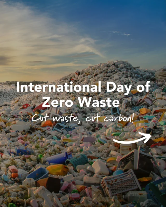 🌍♻️ International Day of Zero Waste – Cut Waste, Cut Carbon! ♻️🌍

Did you know that waste is a major contributor to carbon emissions? From food scraps to fast fashion, everything we throw away has a carbon footprint. But the good news? We can change that!

This International Day of Zero Waste, take action to reduce waste and lower your carbon impact:
🌱 Compost food scraps instead of sending them to landfill.
👕 Choose second-hand or swap clothes instead of buying new.
🥤 Ditch disposables and opt for reusables.
🍽️ Plan meals to cut food waste (and save $$!).

Every small change adds up to a healthier planet and a lower-carbon future. Let’s make waste-free living the norm!

Tag a friend and share your best zero-waste tips in the comments! ⬇️💚

#ZeroWaste #InternationalDayOfZeroWaste #SustainableBrisbane #LowCarbonLiving #WasteLess