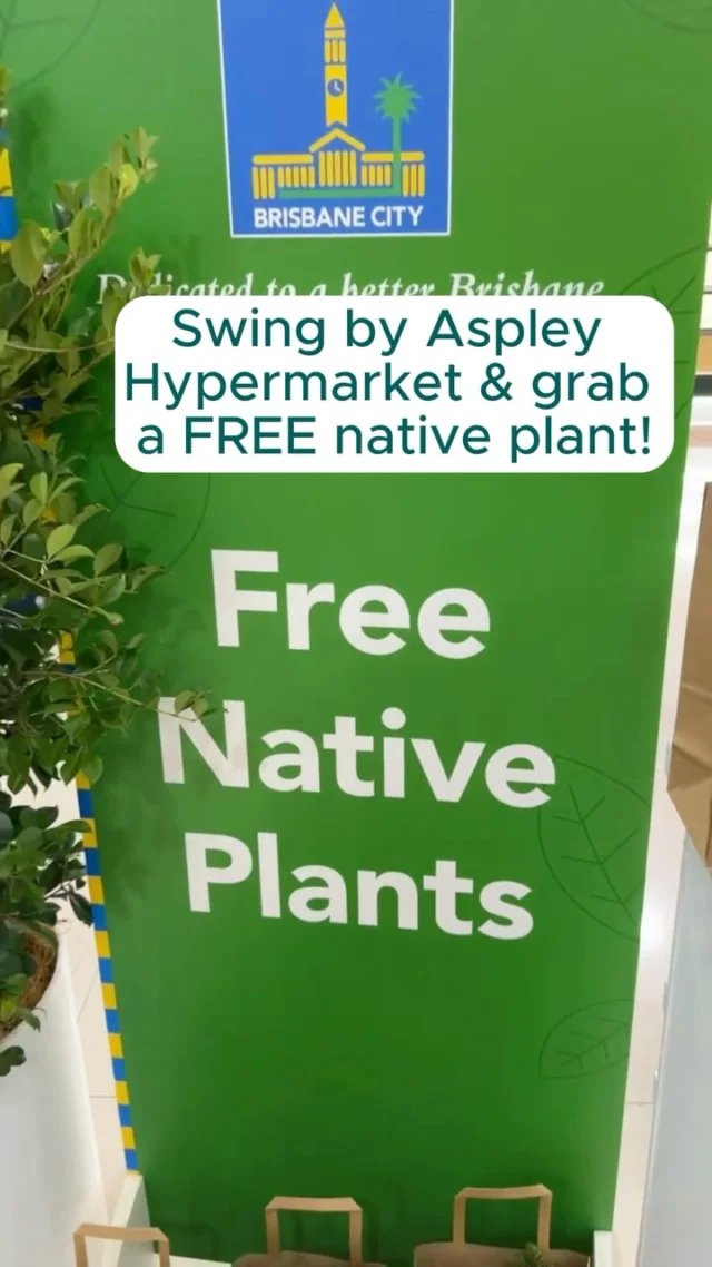 Ready to green up your garden? 🌿 

This Saturday, we’re giving away 500 FREE native plants at Aspley Hypermarket! 🌱

Join us from 9am and grab yours before they’re gone! 

See you there! 👋 

#whatsonbrisbane #FreeNativePlants #SustainableBrisbane #BrisbaneEvents #GardeningGoals #NativePlants #sustainablebne