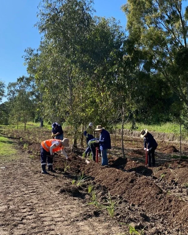 🌱 Join Us for a Community Planting Day at Archerfield Wetlands! 🌿

Come and join us and @oxleycreekcatchment for a free community planting event this Sunday, 22 June, at the beautiful Archerfield Wetlands.

Together, we’ll be planting thousands of native tubestock along the Lookout Trail helping to restore the wetland’s edge and create vital habitat for local wildlife. 🐸🦋🌾

📍 Where: Archerfield Wetlands Community Hub, Archerfield Wetlands District Parkland
🕗 Time: 8:15am, Sunday 22 June 2025

Everyone is welcome to come along, dig in, and help shape the future of your local wetlands!

🎟️ Register now via link in bio as places are limited! 

This project is proudly supported by @sustainablebnefestival sponsors and exhibitors, @bupaaustralia and @landcareaustralia 

#ArcherfieldWetlands #CommunityPlanting #BrisbaneSustainability #Landcare #SustainableBNE